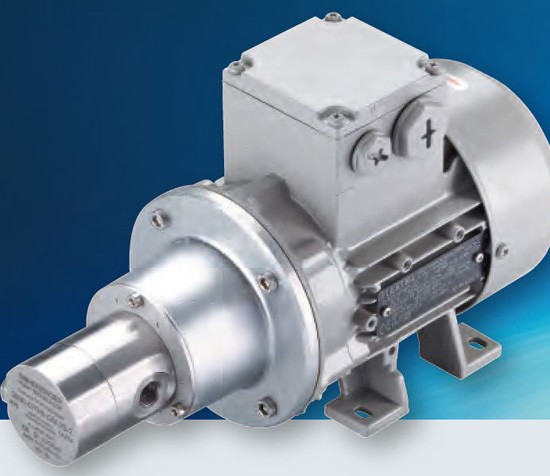 Gear Pump-Scherzinger